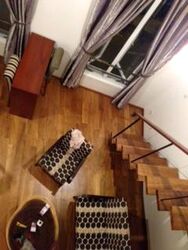 Race Course Road (D8), Terrace #330139791